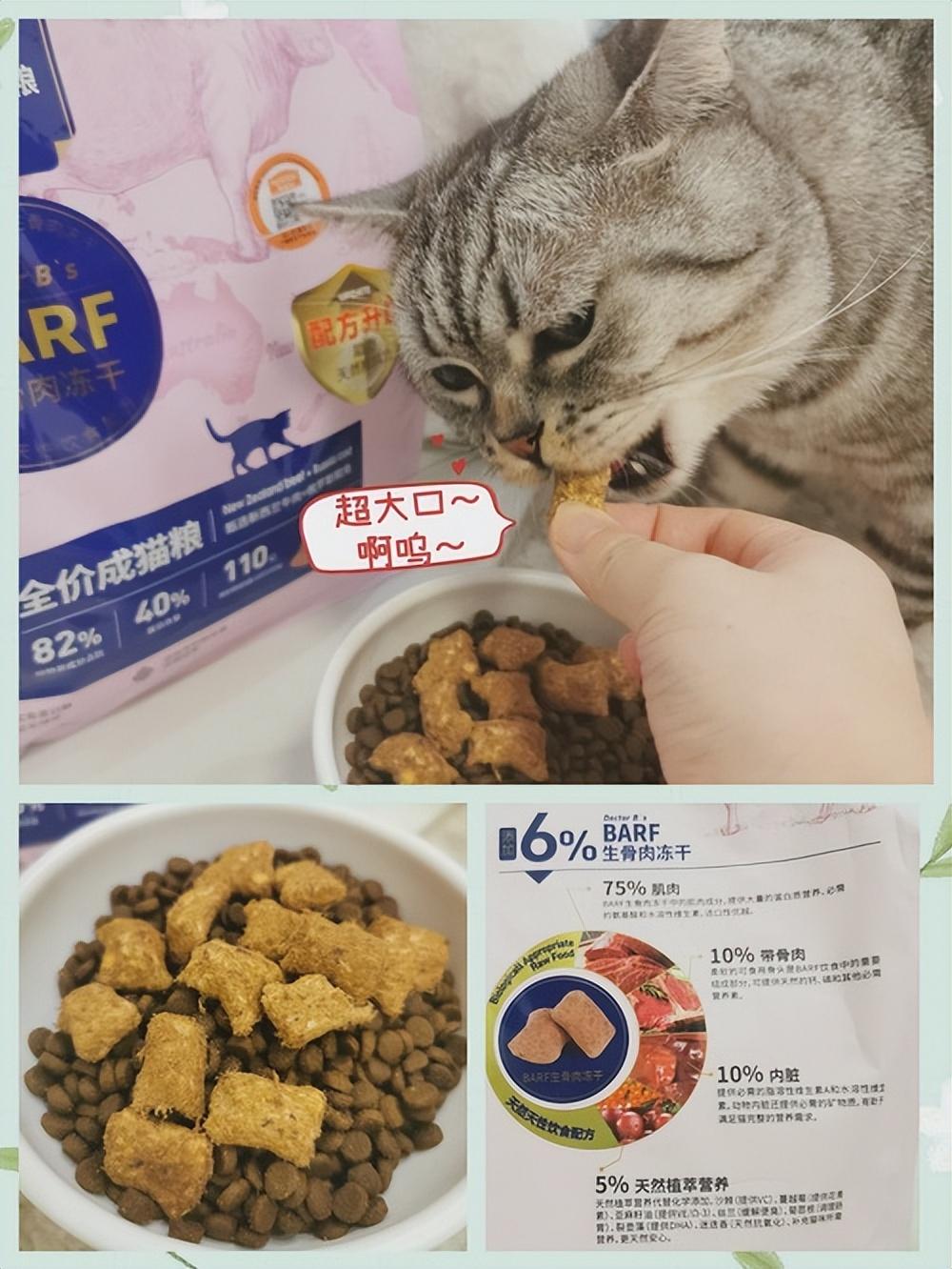 换季猫咪掉毛，应对策略与照顾健康须知