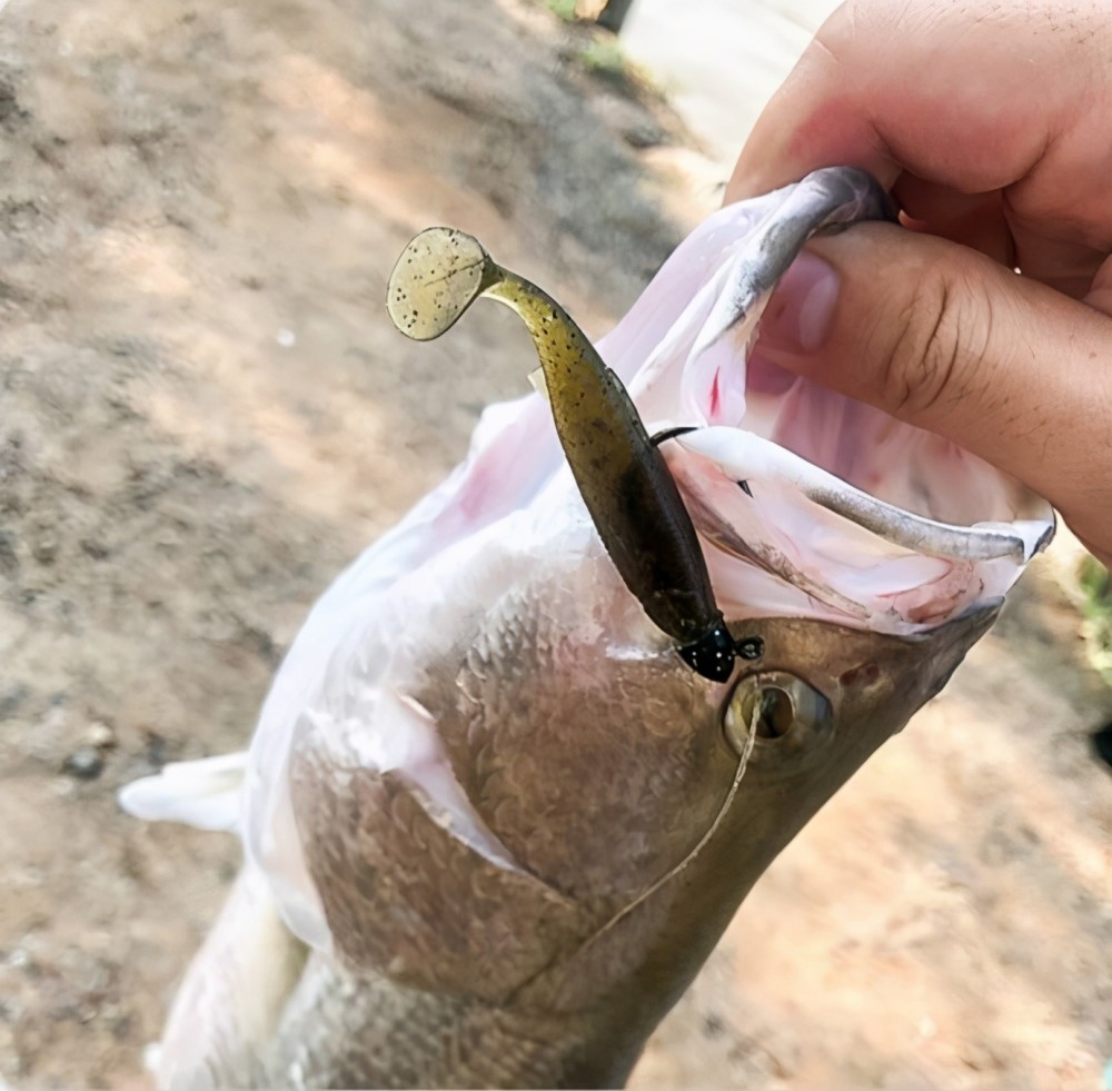 路亚饵连接技巧，探索最佳连接方式之道