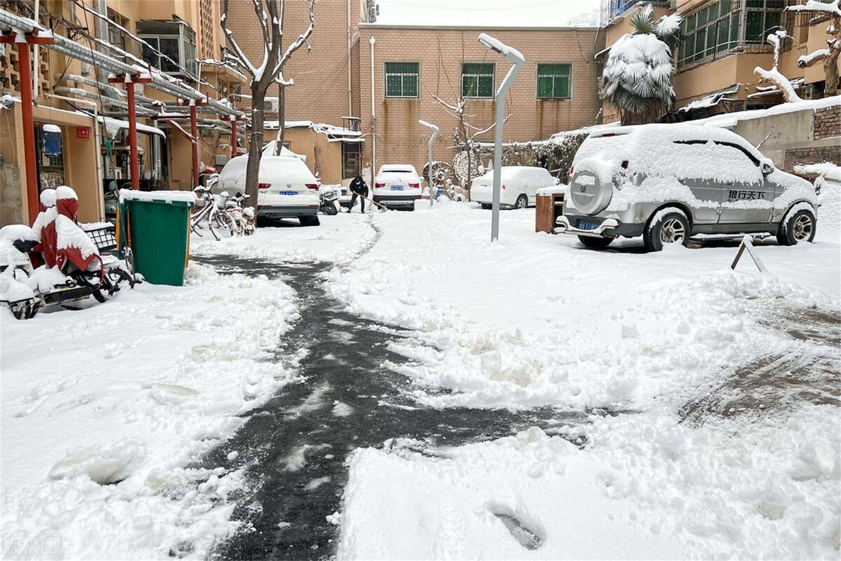 广东深圳暴雪来袭，极端天气的挑战与机遇