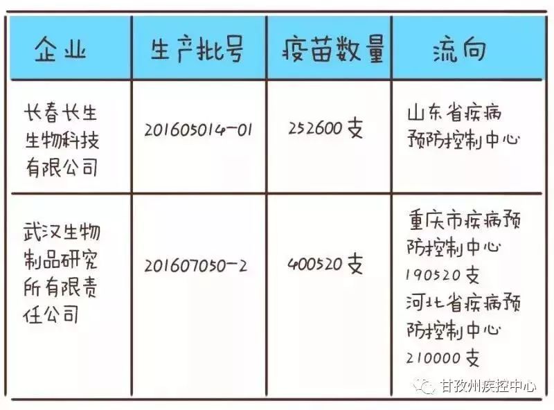 疫苗招投标，公开透明与责任担当的双重保障