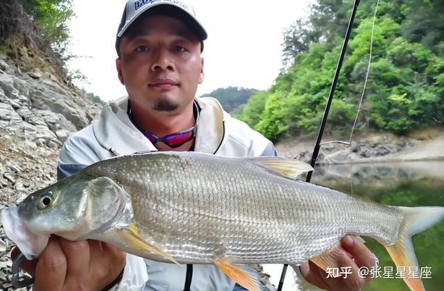 路亚季花鱼钓饵选择指南