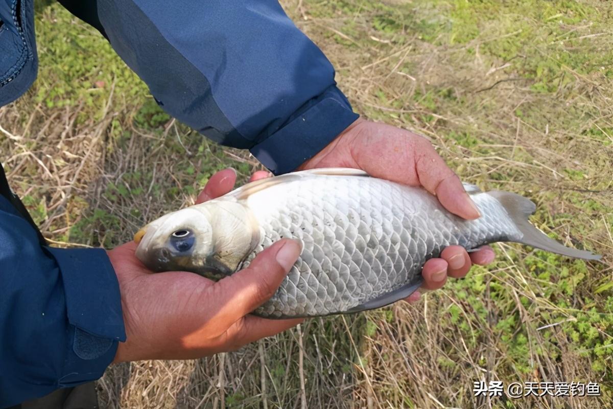 路亚滑漂钓法全解析，从入门到精通的图解指南