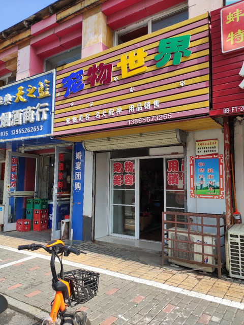 蚌埠市宠物店，繁华都市的宠物乐园