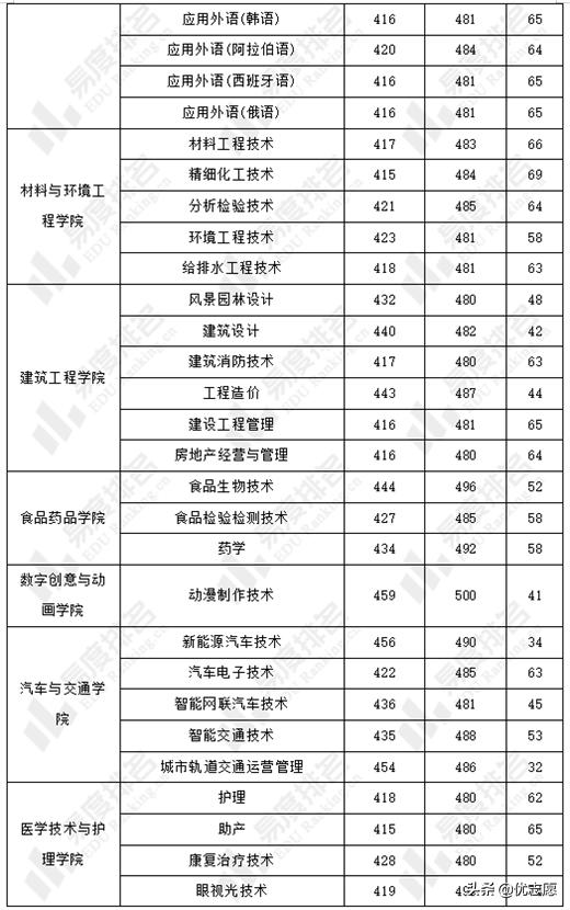 深圳之光与地域之韵，城市与地域的交响乐章