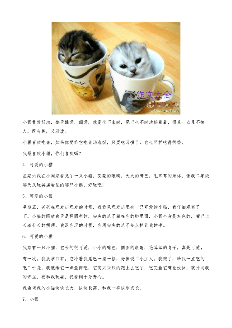 小猫的魅力特点作文