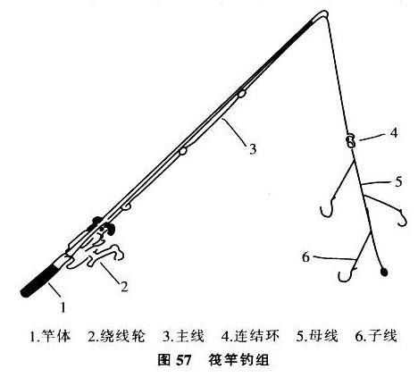 钓鱼竿的结构与特性详解