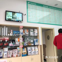 杨浦区宠物店，繁华都市的宠物乐园