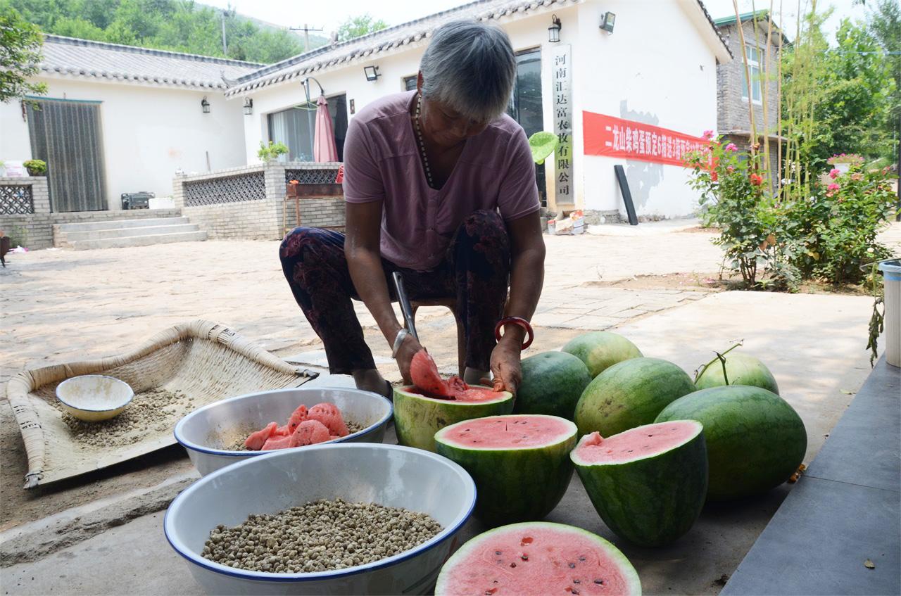 河南酱豆制作攻略，独家秘方与做法大全